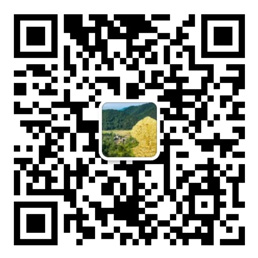 乐发平台注册